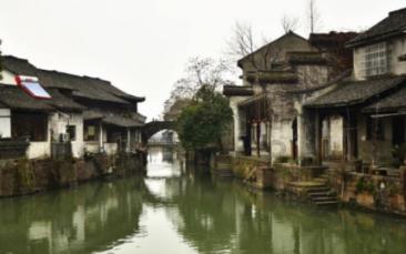 寻找沙漠珍宝